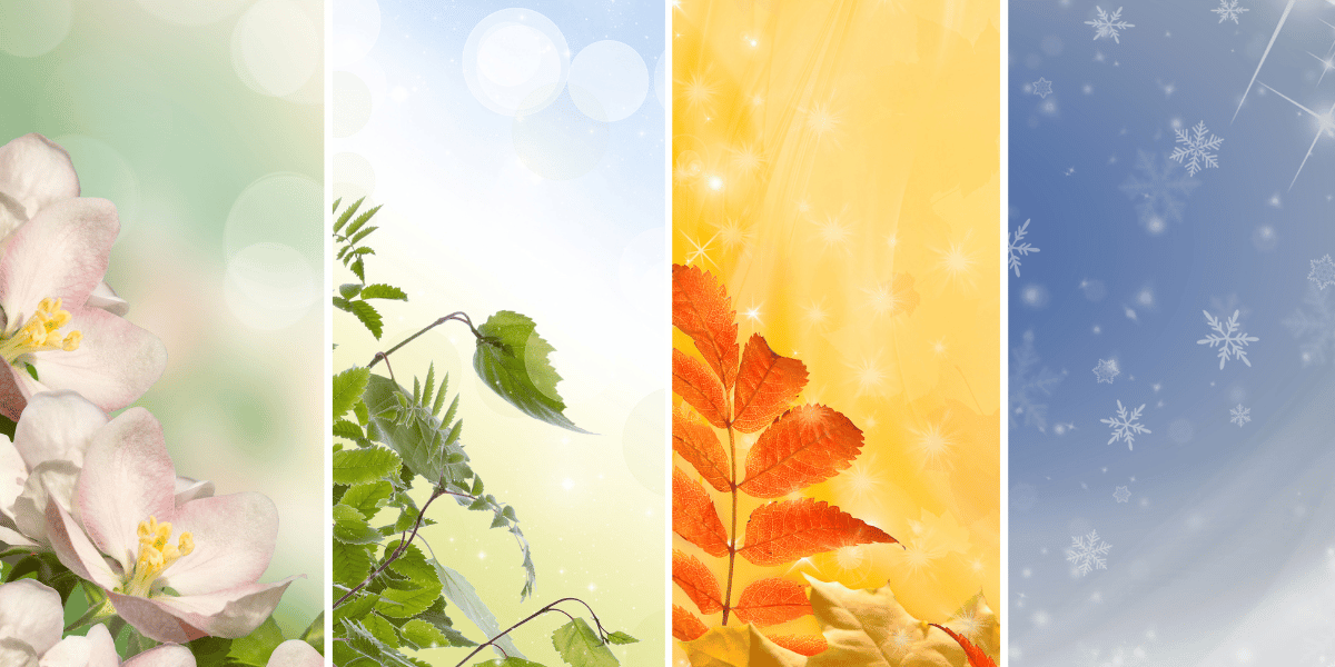 The concept of seasons demonstrated by a 4 panel image with seasonal scenes